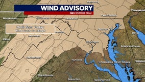 Wind Advisory in place across DC region with gusts to reach 50-55 mph