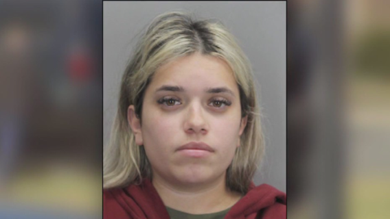 Au pair pleads guilty to manslaughter in Virginia double homicide