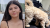 14-year-old reported missing after taking family dog for walk in Loudoun County