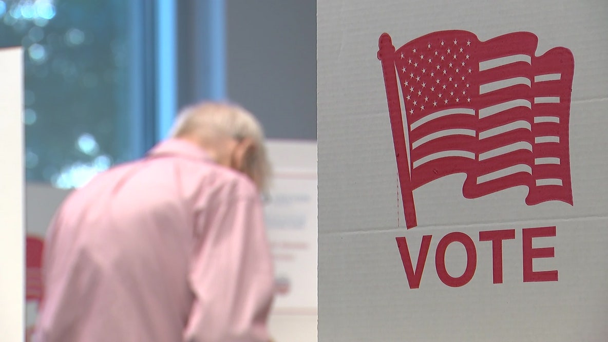 Early voting begins in DC primary election