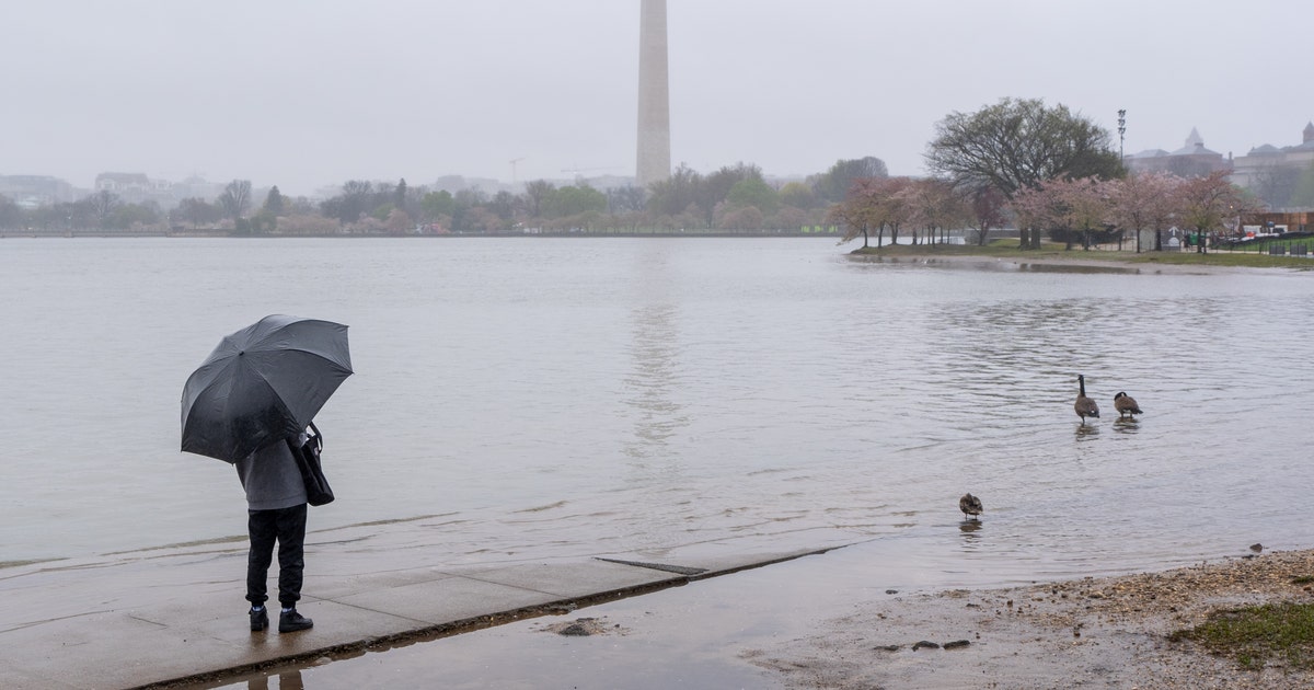 DC weather: Chance for severe storms Thursday evening | FOX 5 DC