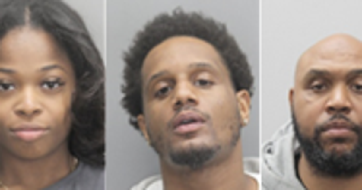 3 New Yorkers arrested in $120,000 medication theft spree in Fairfax ...