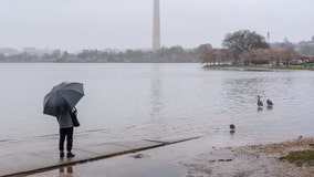 DC weather: Chance for severe storms Thursday evening