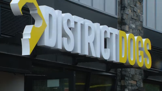 Employee accuses District Dogs of negligence, unsafe conditions