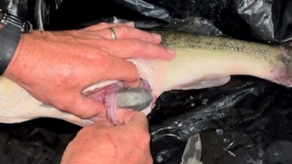 Fisherman arrested for cheating in bass tournament with lead weights