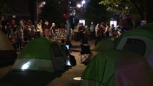 Mixed reaction after DC police clear pro-Palestine demonstrators off of GW campus