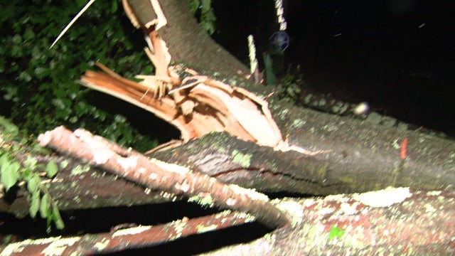 Severe Memorial Day storms bring down trees, cause power outages across parts of DC region