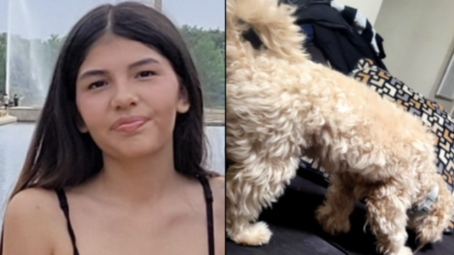 14-year-old reported missing after taking family dog for walk in Loudoun County