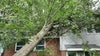 Maryland tornado aftermath: Cleanup continues Thursday after storms down trees, cut power