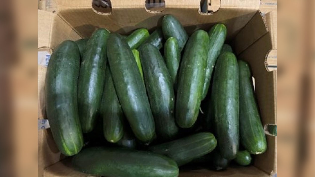 Cucumber Salmonella Recall Veggies shipped to MD & VA recalled over