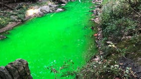 Rock Creek will turn neon green for DC Water sewer study