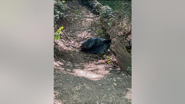 Dead black bear found in plastic bag near Arlington walking trail