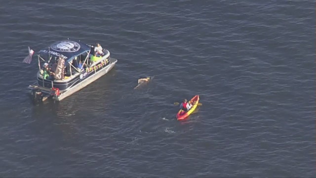 Maryland woman completes swim from Bay Bridge to Baltimore’s Inner Harbor