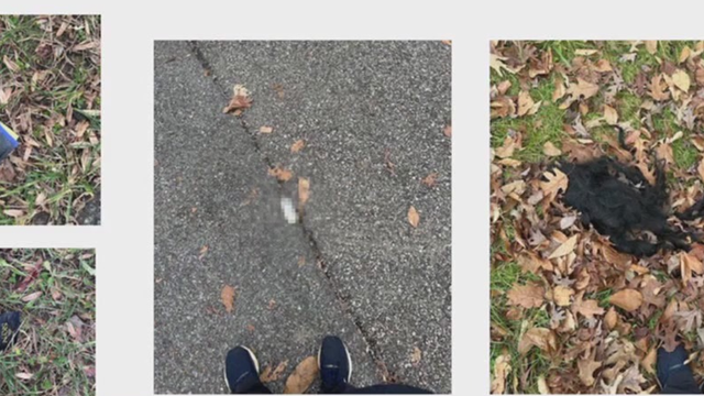 Calvert County mansion parties stopped by court order