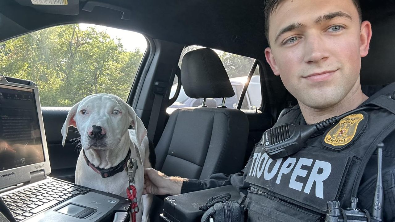 Maryland State trooper rescues dog left in hot car on I-495