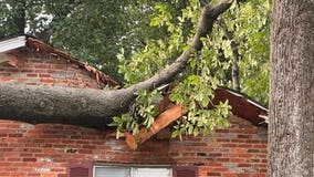 Fierce thunderstorm shuts down Connecticut Avenue, topples trees in Chevy Chase