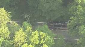 Tree falls on vehicle in Bethesda