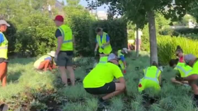 Arlington Cemetery Renewal and Remembrance honors fallen veterans