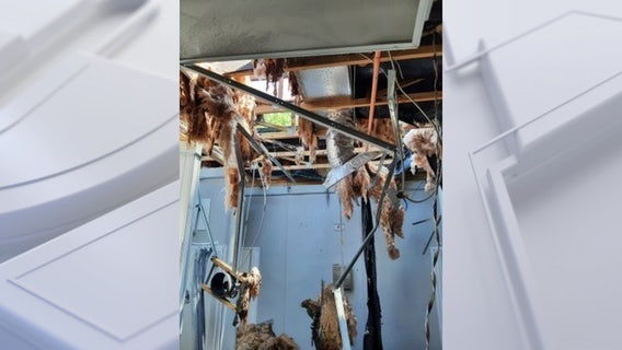 Montgomery County women’s shelter fire displaces 40