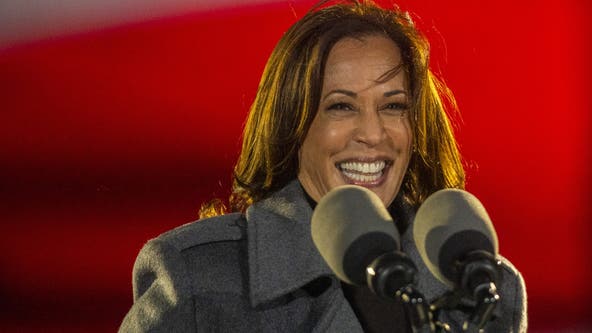 What does 'brat' mean, why are people calling VP Kamala Harris one?