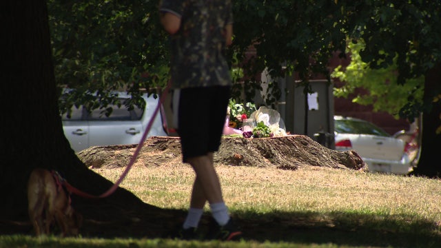 Who was Sarah Noah? Colleagues react to death of DC woman killed by falling tree branch