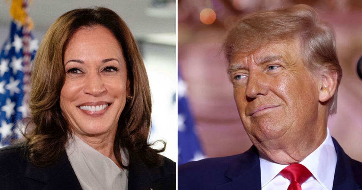 Who is leading the polls for president in 2024? | KTVU FOX 2
