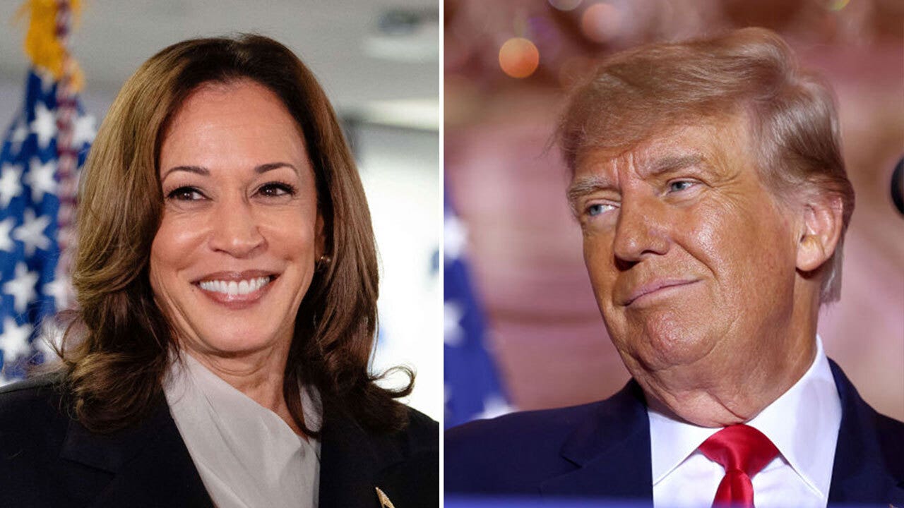 Lichtman Predicts Harris to Win 2024 Election