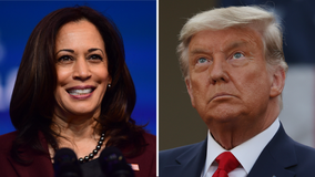 Harris takes narrow lead over Trump in majority of key swing states