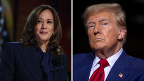 Harris maintains lead nationwide, slim margins in battleground states, according to multiple polls