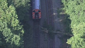 VRE delays after train strikes tree on tracks in Fairfax County