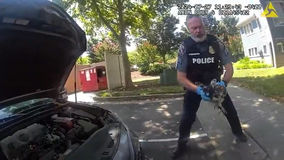 Police rescue hawk trapped in car grill after collision