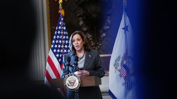 VA AG Miyares says Harris 'failed at her job' when it comes to immigration