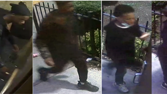 Photos released of 4 suspects involved in DC armed carjacking
