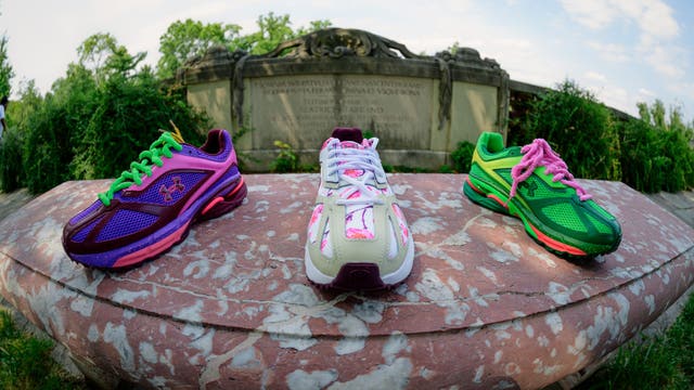 DC cherry blossoms, Botanic Garden inspire new Under Armour collaboration with The Museum