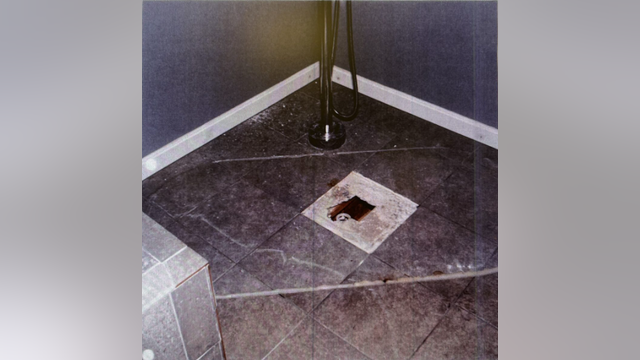 New photo evidence released in Mamta Kafle Bhatt's disappearance