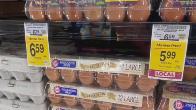 FTC launching investigation into consistently high grocery store prices