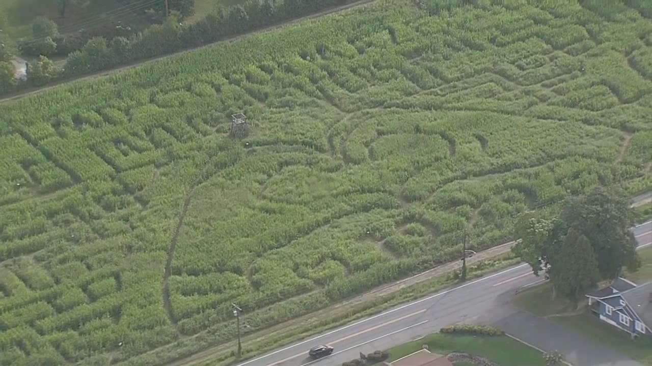 Taylor Swift corn maze opens in Maryland. Here's a bird’s-eye view.