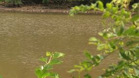 Anacostia River cleanup: $1M grant to fund removal of trash, sunken boats