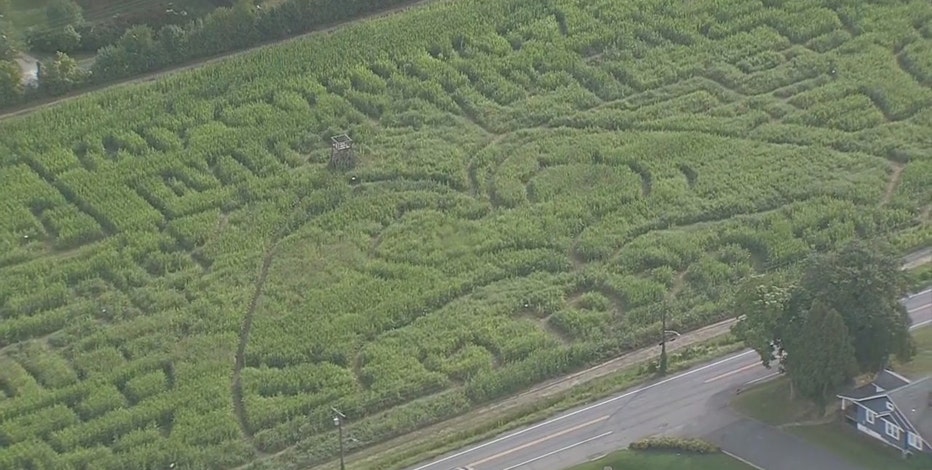Taylor Swift corn maze opens in Maryland. Here's a bird’s-eye view.