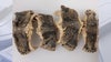 Snake meat seized at Dulles International Airport