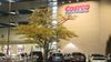 ‘My life Is worth more than a car’: Costco shopper carjacked at gunpoint in Pentagon City