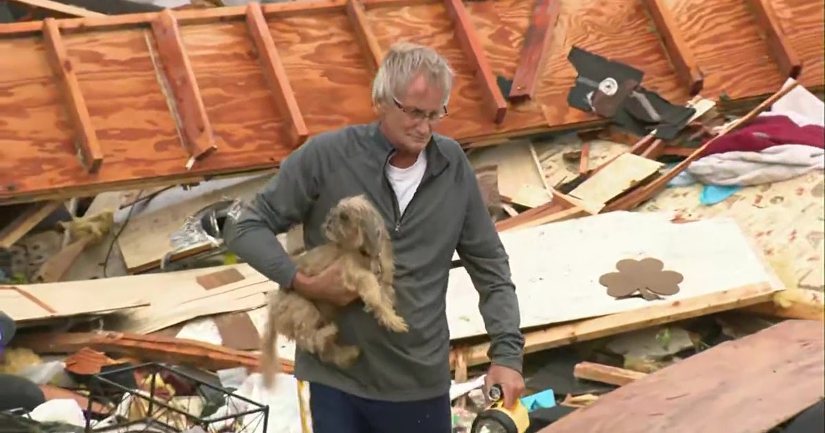 Hurricane Milton: Puppy rescued from rubble left behind by storm after ...