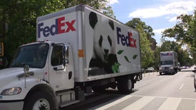 DC’s new giant pandas arrive at new home at National Zoo