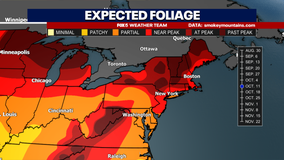 Fall Foliage: When is peak color expected in the DC region?