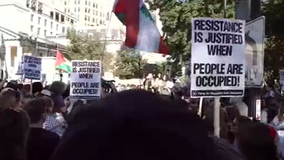 Pro-Palestine rally in DC calls for ceasefire