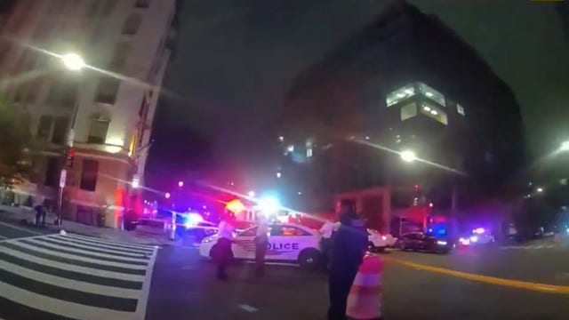 Deadly hit-and-run sparks investigation into DC officer's actions