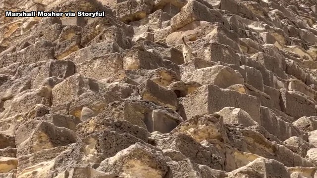 Dog spotted on top of Great Pyramid of Giza returns safely to the bottom
