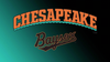 Bowie Baysox rebrand to embrace more Maryland fans