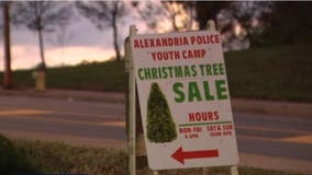 Alexandria police turn Christmas tree sales into opportunities for local kids