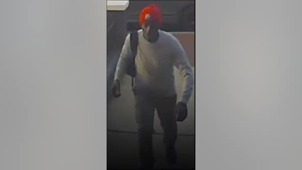 Porch pirate captured on surveillance camera in Southeast DC